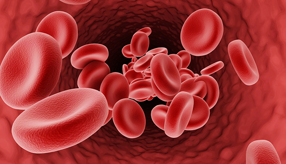 What is Thalassemia